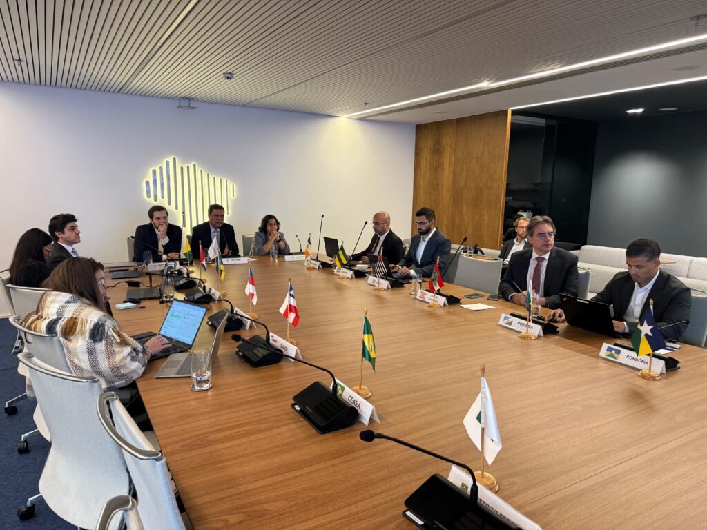 Comitê Gestor do IBS